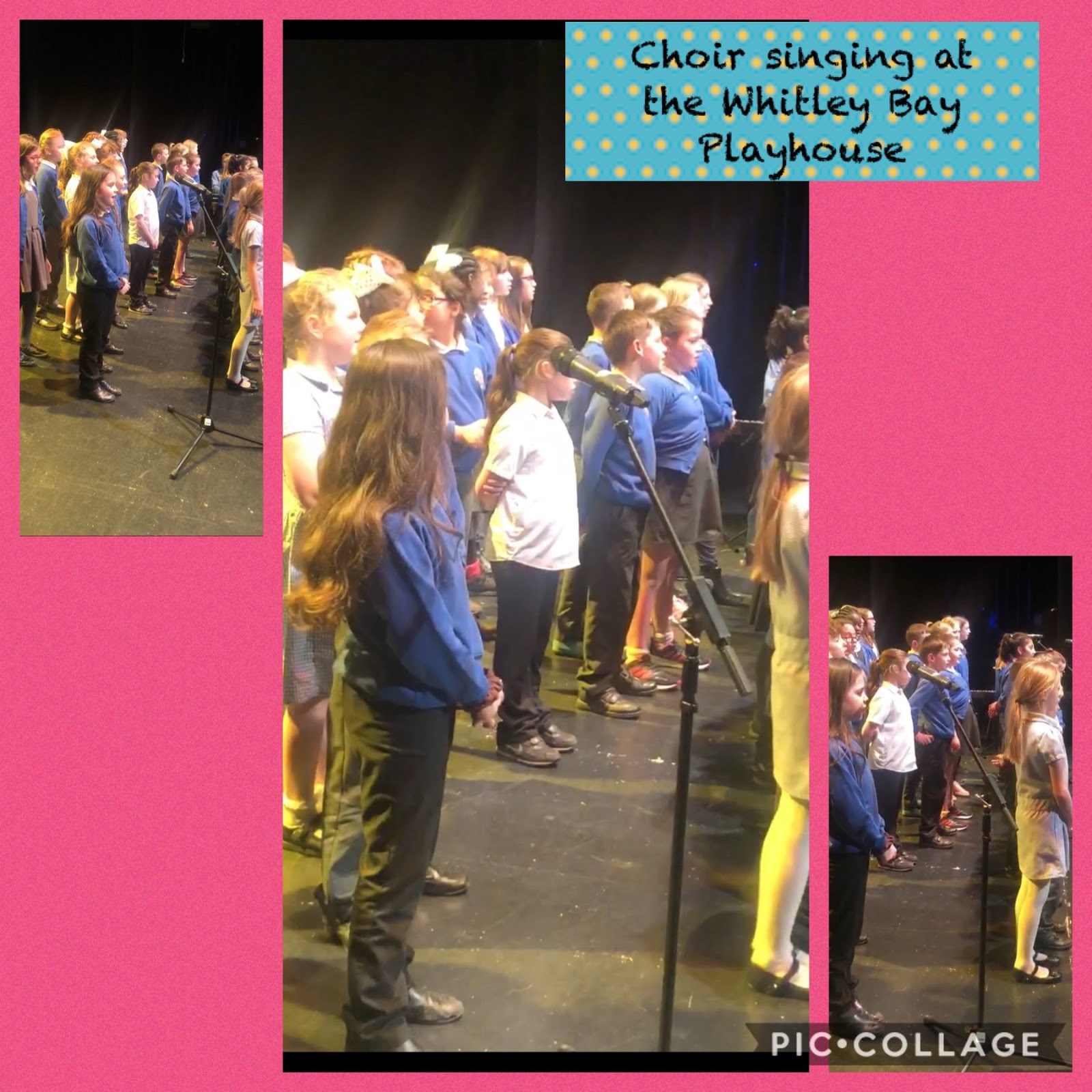 Newsletter – March 2019